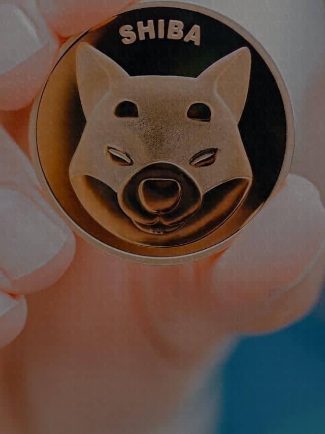 Shiba Inu coin price prediction